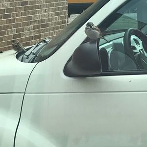 Meet your Posher, Anne